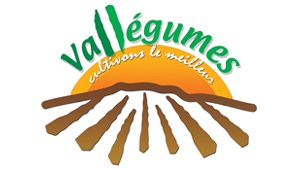 Logo de l'entreprise Val'légume